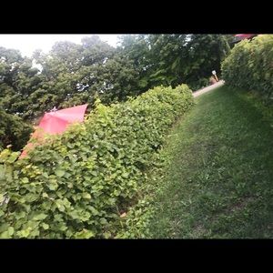 Meet your Posher, Omar